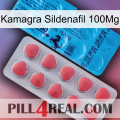 Kamagra Sildenafil 100Mg new14